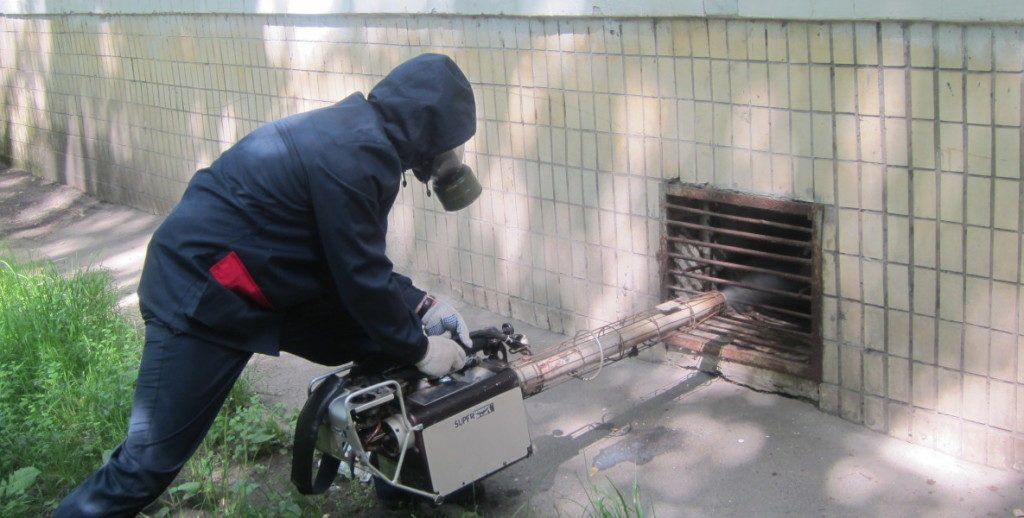Специализированный магазин: средства от грызунов и других вредителей в SIMCLEAN Специализированный магазин: средства от грызунов и других вредителей в SIMCLEAN